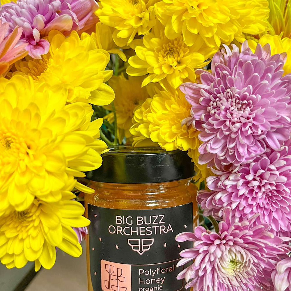 big buzz reviews. Natural Honey Review. Organic Honey by Big Buzz (4)