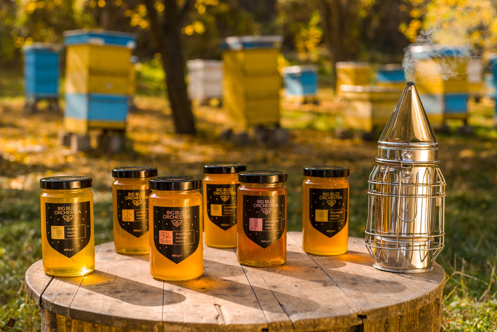 
                  
                    Big Buzz Orchestra Honey Single Jar of Natural Polyfloral Honey
                  
                