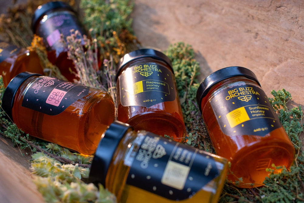 
                  
                    Big Buzz Orchestra Honey Single Jar of Natural Rapeseed Honey
                  
                