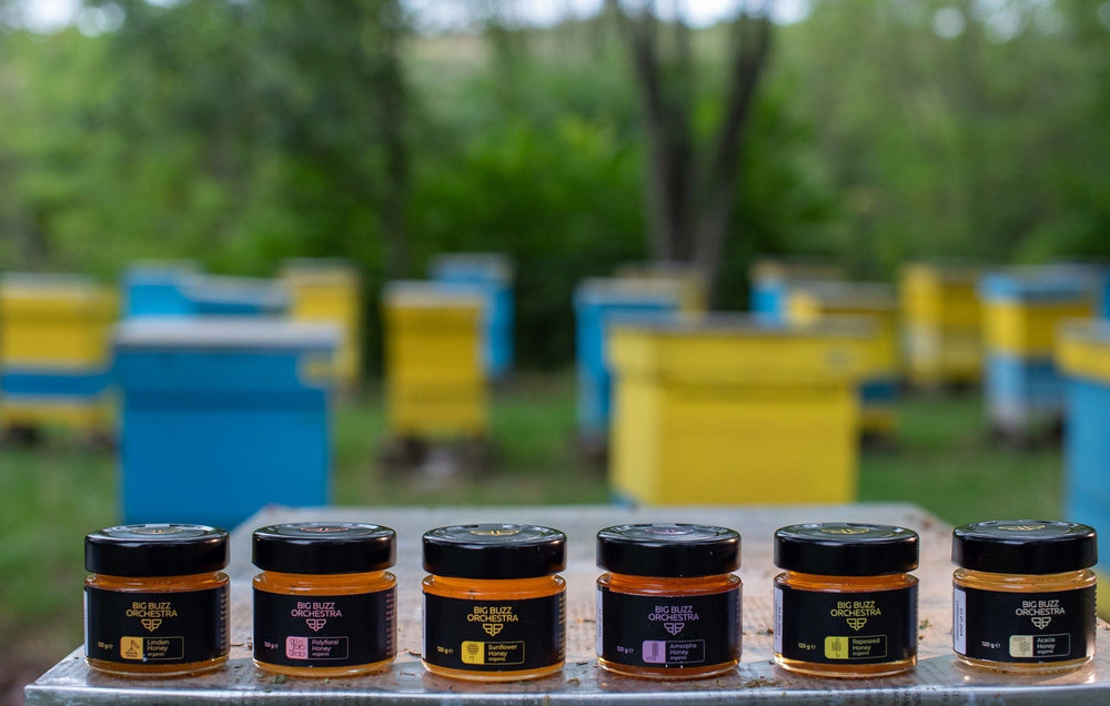 
                  
                    bigbuzzorchestra Honey Symphony – 6 Unique Flavors
                  
                