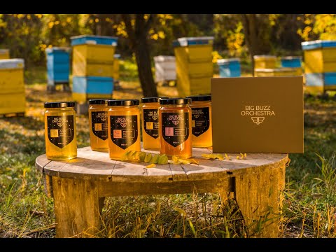 
                  
                    Load and play video in Gallery viewer, Big Buzz Orchestra Acacia Organic Honey. Tasty Acacia Honey from Big Buzz Orchestra. Natural Honey from Bulgaria.
                  
                